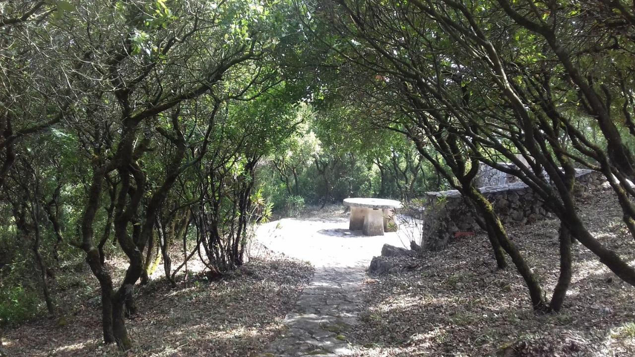 Villa Cabeço dos Três Moinhos à Rio Maior Extérieur photo